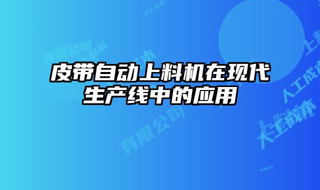 皮帶自動上料機(jī)在現(xiàn)代生產(chǎn)線中的應(yīng)用