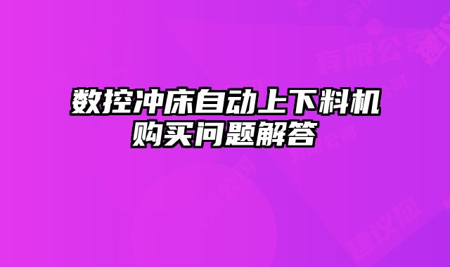 數(shù)控沖床自動(dòng)上下料機(jī)購(gòu)買問(wèn)題解答